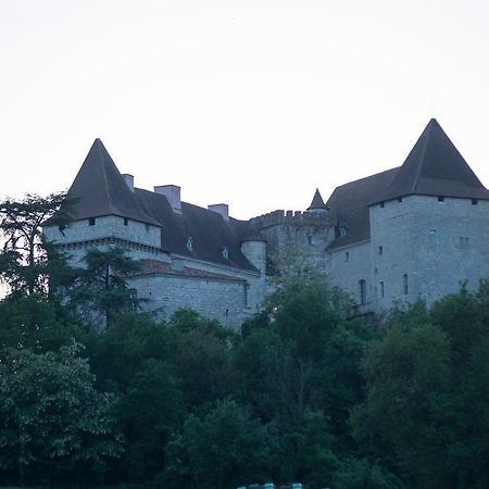 Chateau De Goudourville Βίλα Εξωτερικό φωτογραφία