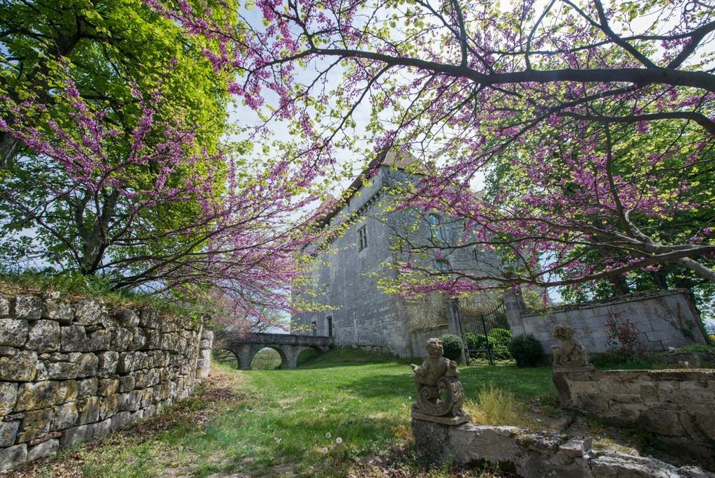 Chateau De Goudourville Βίλα Εξωτερικό φωτογραφία