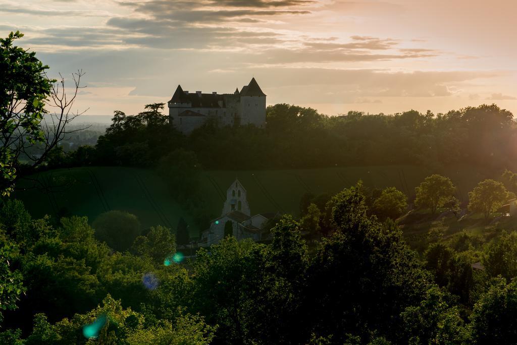 Chateau De Goudourville Βίλα Εξωτερικό φωτογραφία