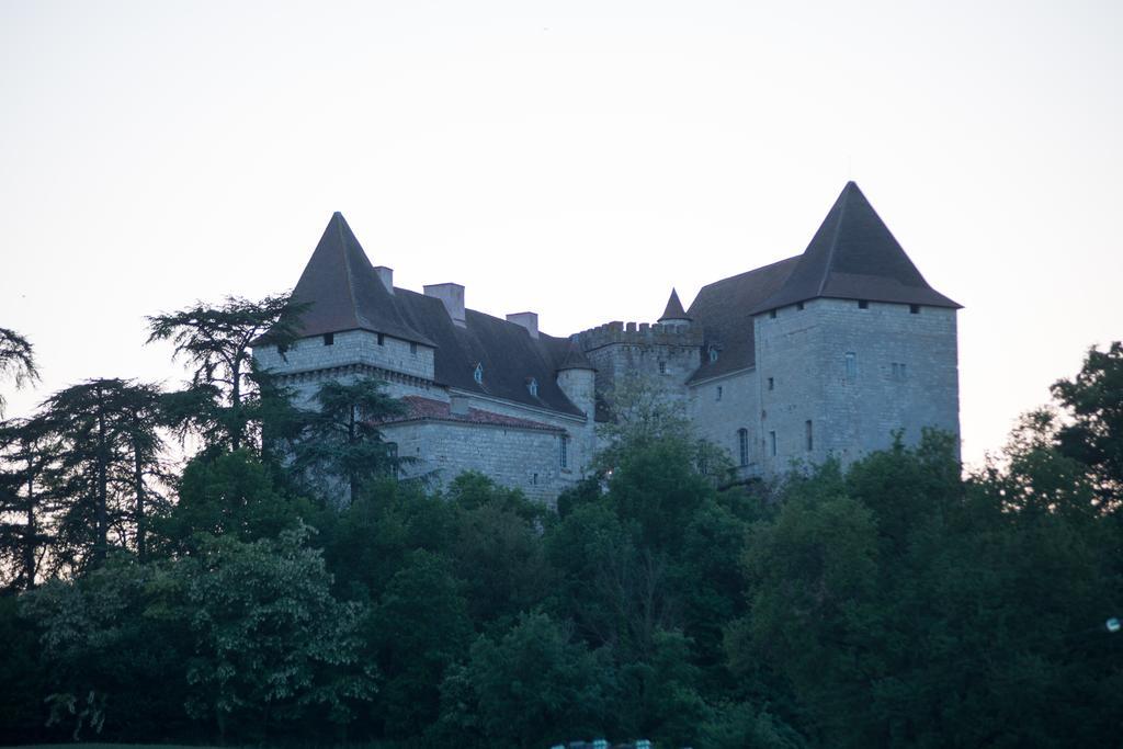 Chateau De Goudourville Βίλα Εξωτερικό φωτογραφία
