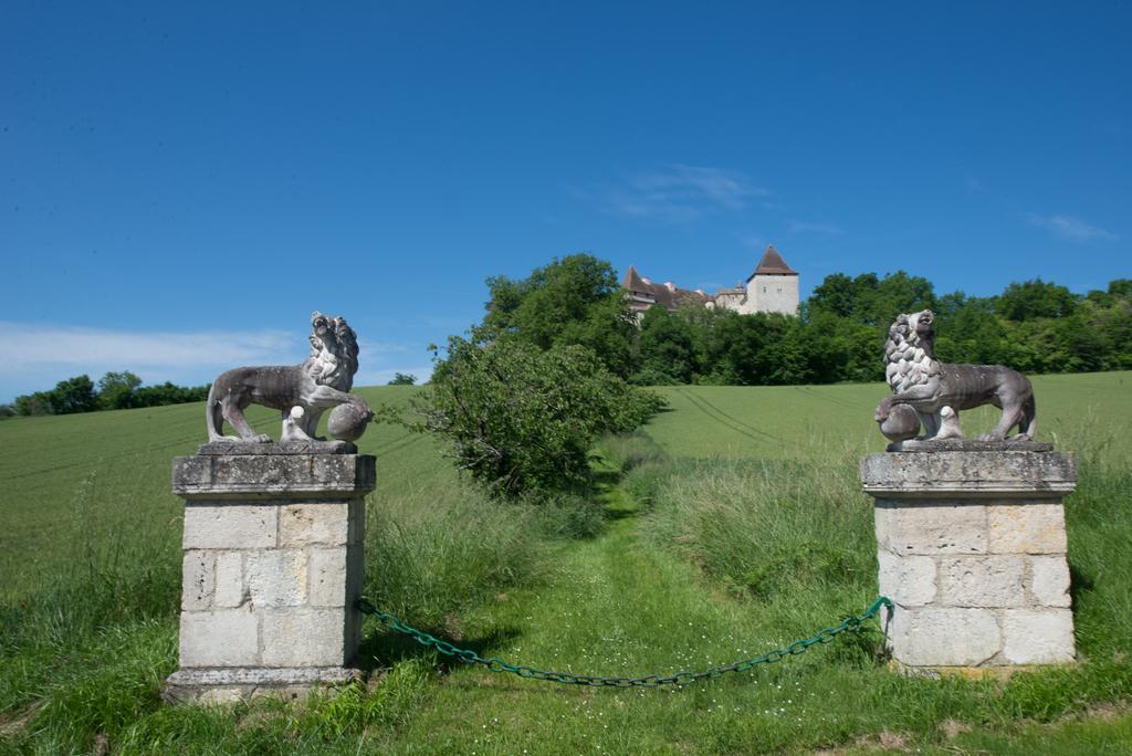 Chateau De Goudourville Βίλα Εξωτερικό φωτογραφία